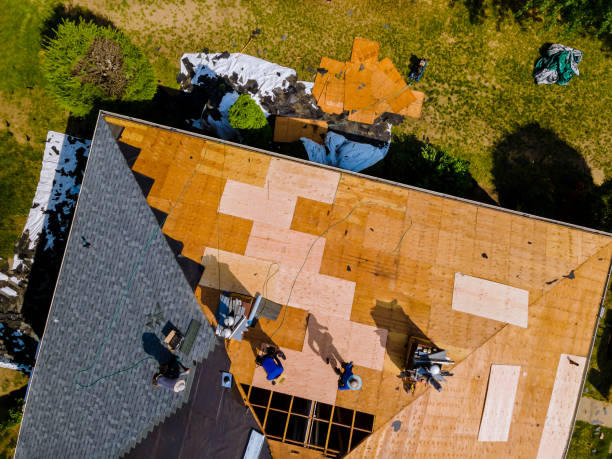 Roof Gutter Cleaning in West Pittston, PA